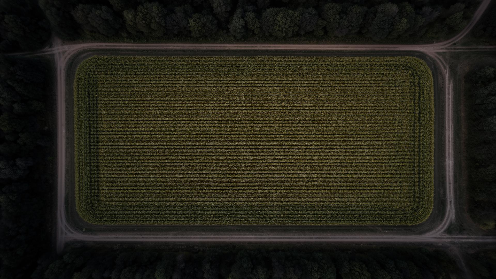 Aerial view of a uniform farmland field with no soil-quality information visible